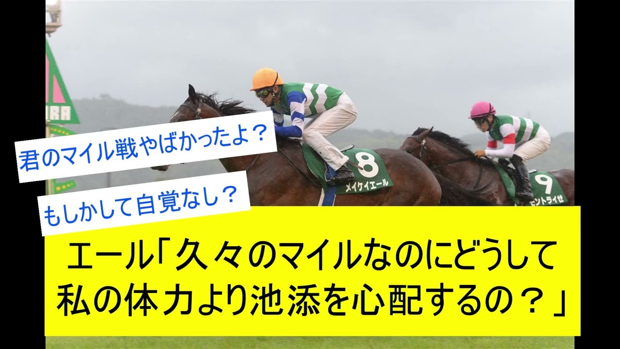 【競馬反応集】久々のマイル戦のメイケイエールより池添謙一騎手をみんな心配しているwwwに対するみんなの反応