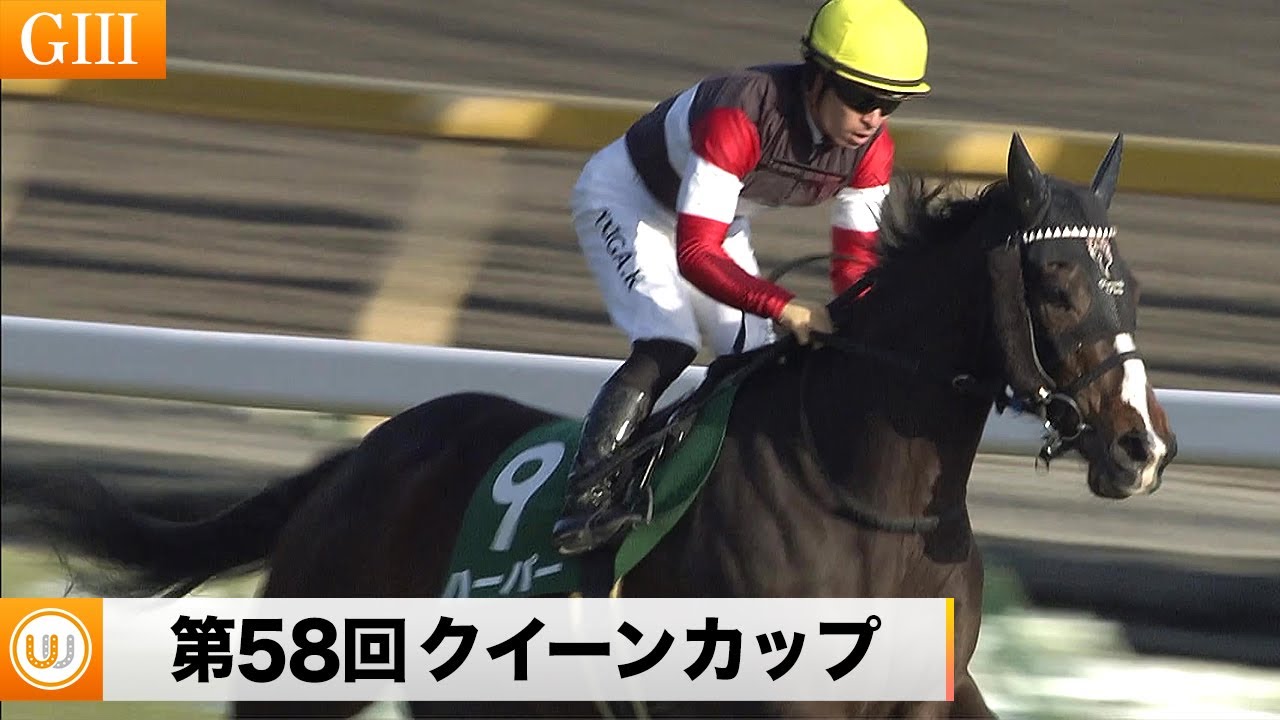 【2023】第58回 デイリー杯クイーンカップ（GIII） ｜ウイニング競馬 2023年2月11日（土）