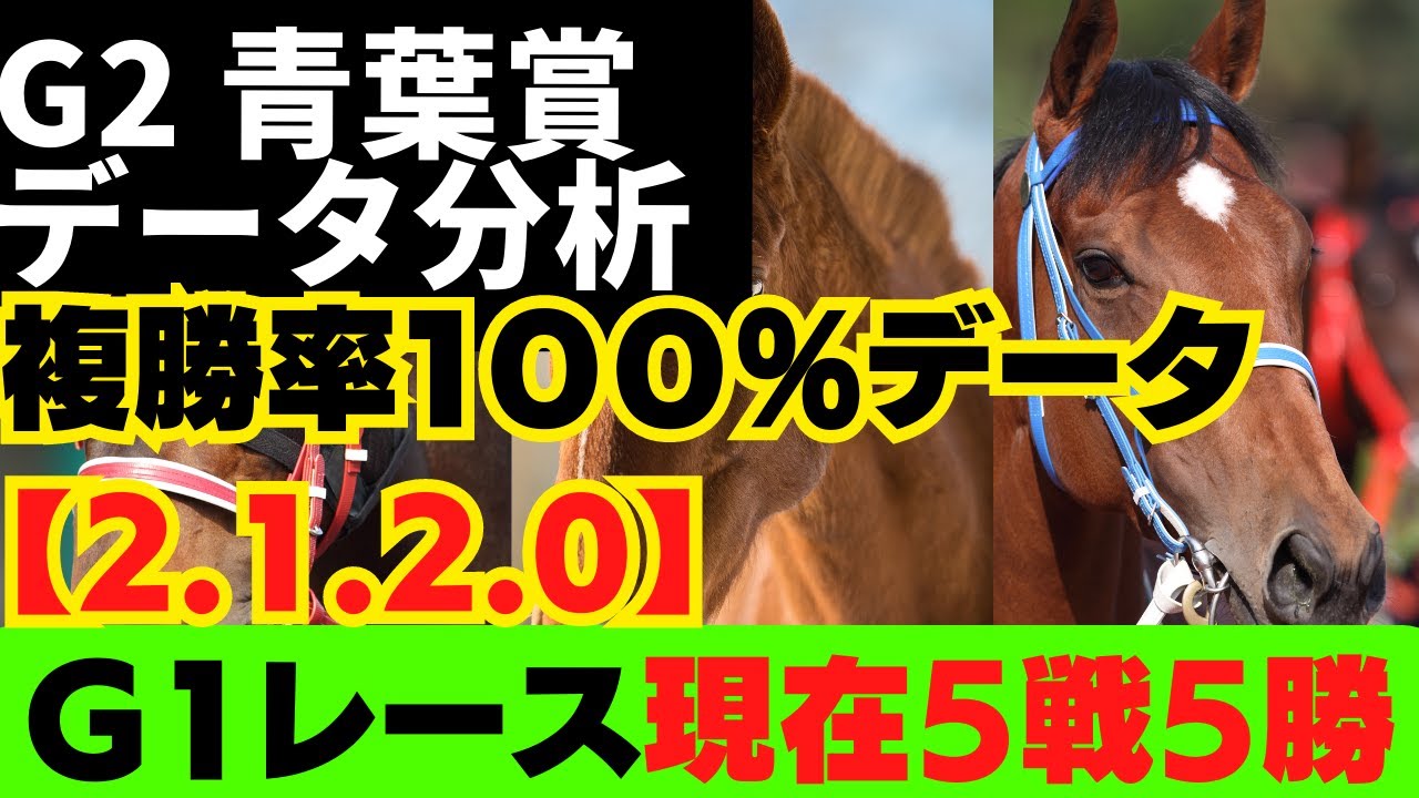 【G2 青葉賞 2023 データ分析】🤩お宝100％データ(2-1-2-0)あり！【今年、8レース中、7レースで該当馬が馬券内‼】G1レースは、現在5戦5勝と好調です‼
