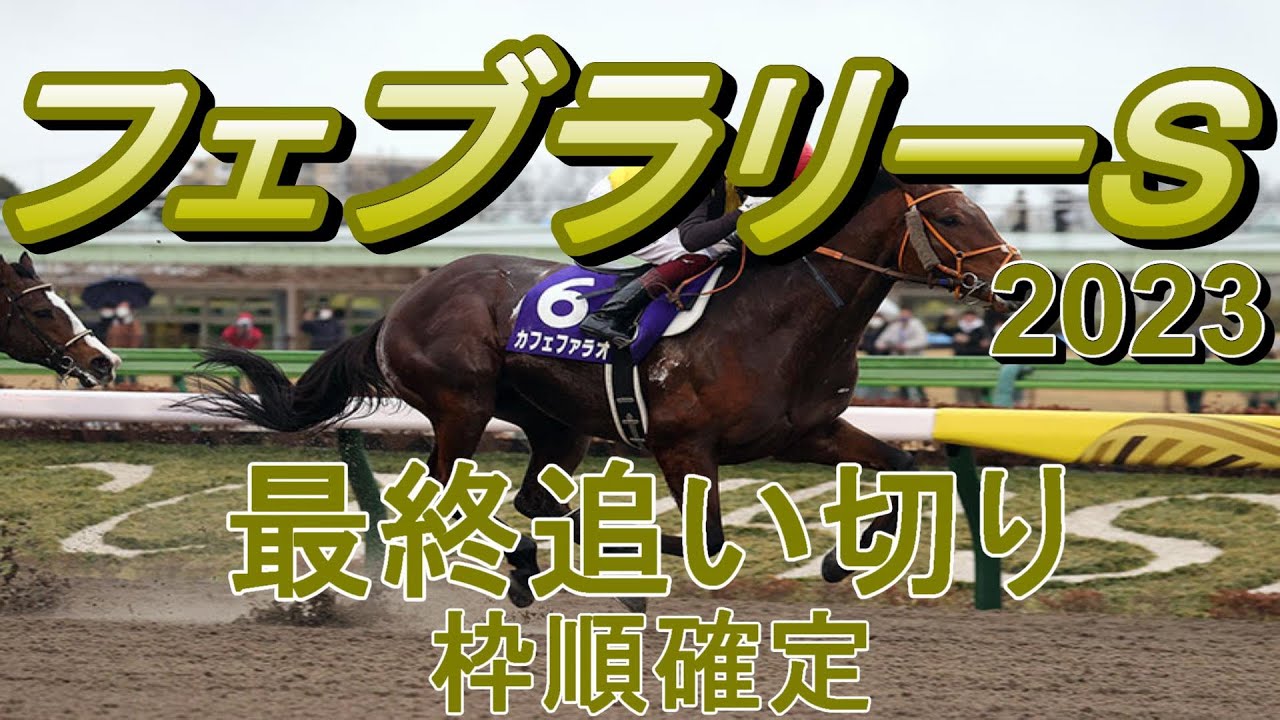 【フェブラリーステークス2023】第40回フェブラリーステークス最終追い切り