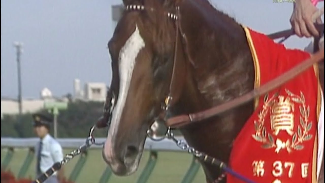 サクラユタカオー 全レース（新馬-有馬記念）