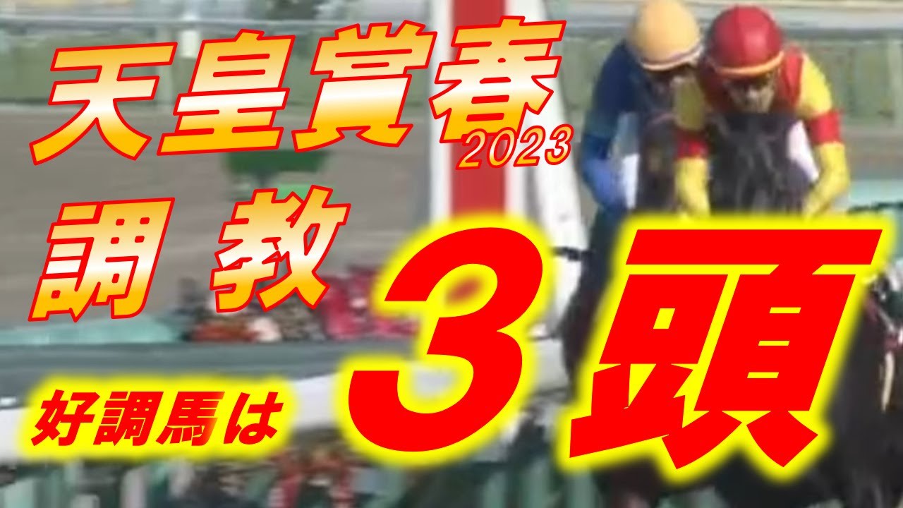 天皇賞春2023　追い切り診断！！　ジャスティンパレス、ポルトグフーシュの評価は！？　タイトルホルダーは出来落ち！？　元馬術選手のコラム【競馬】