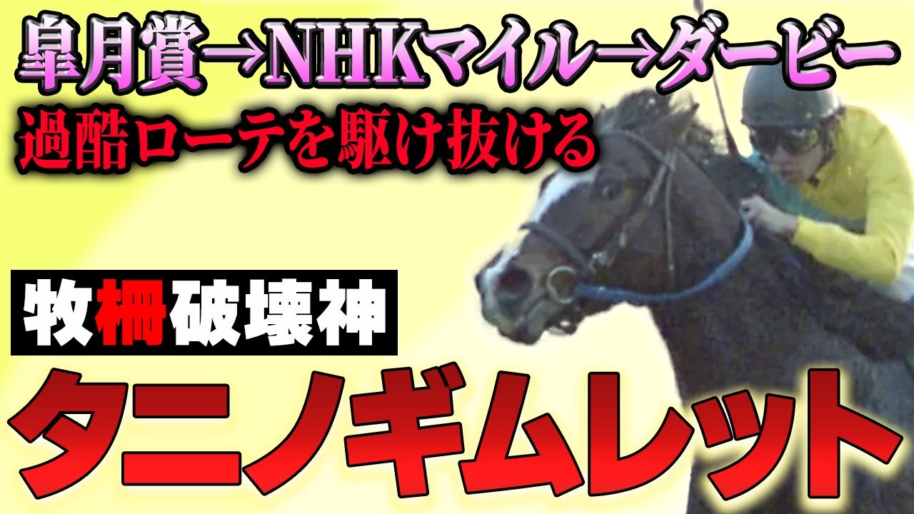 【競馬】皐月賞→NHKマイルC→ダービー、過酷ローテを駆け抜けたギム爺の現役時代・タニノギムレット