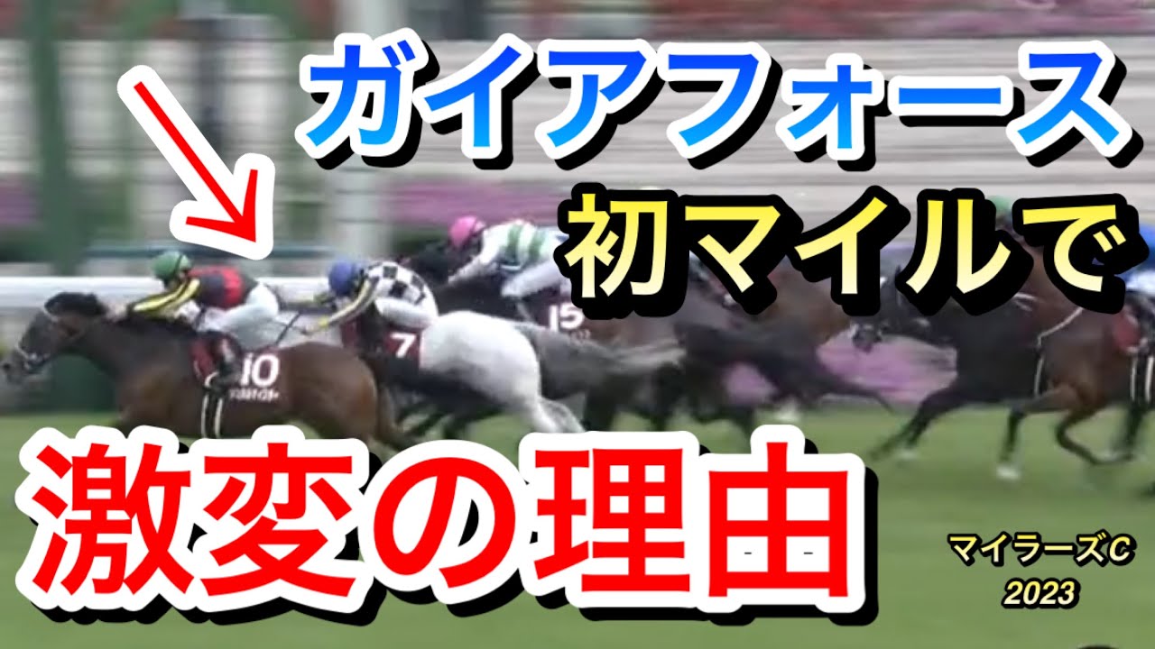 【マイラーズカップ2023】ガイアフォース(4人気)が初のマイルでシュネルマイスターと接戦の2着！激変の理由は何なのか⁉︎