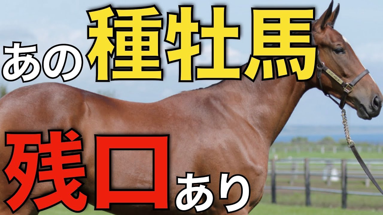 【意外にも】世界的なG1勝利でも満口ならず！種牡馬の評価は難しい。