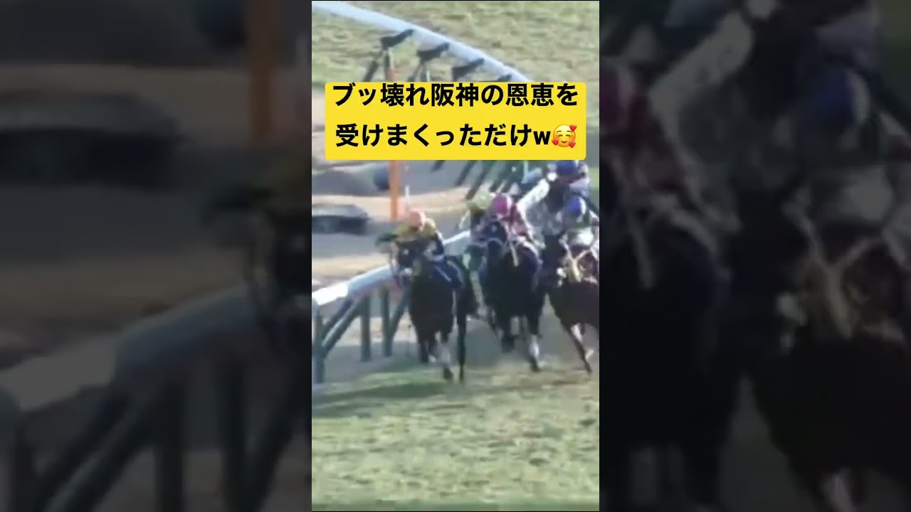 天皇賞春だけどタイトルホルダーなんてくるワケねーだろwww #競馬 #競馬予想 #天皇賞春 #タイトルホルダー