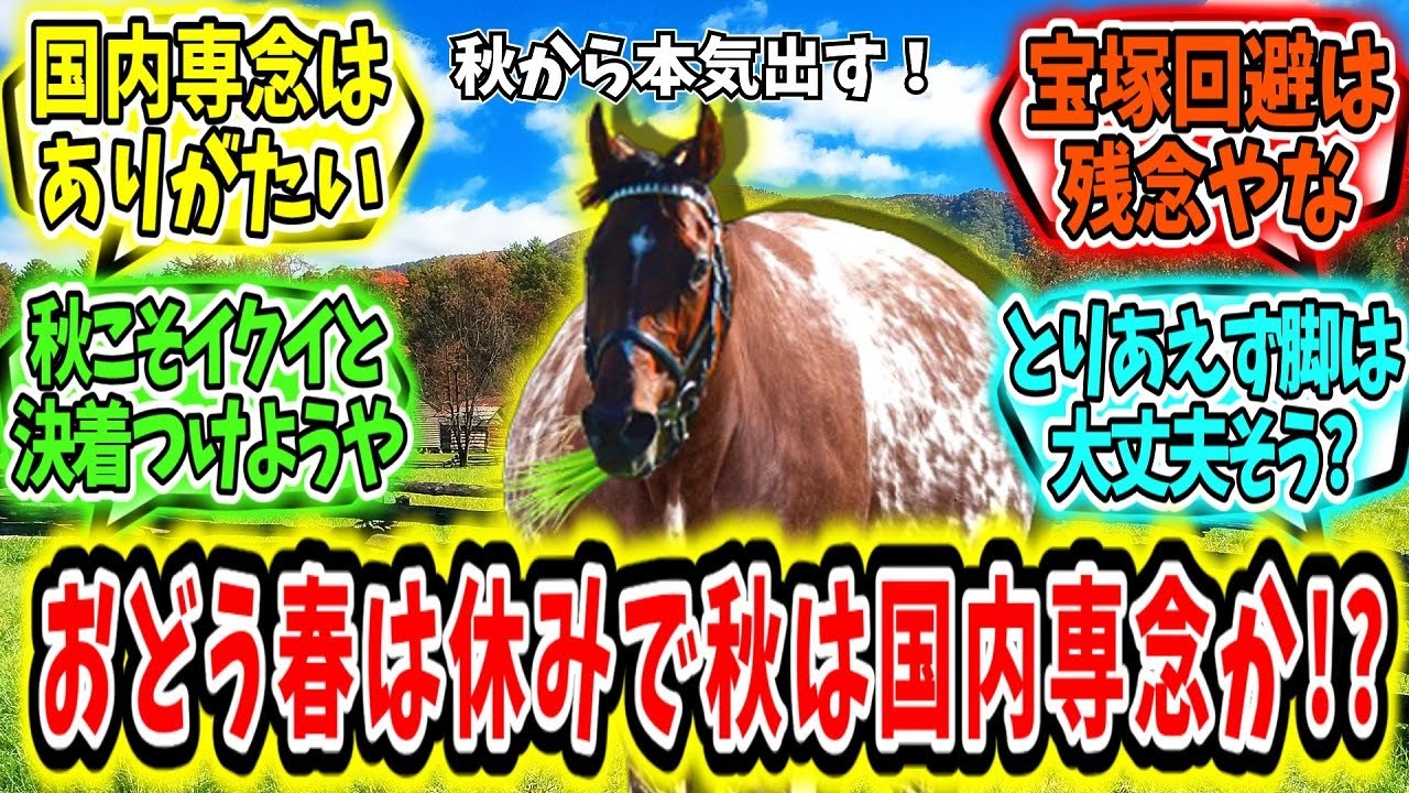 『ドウデュース春は休みで秋は国内専念か？』に対するみんなの反応【競馬の反応集】