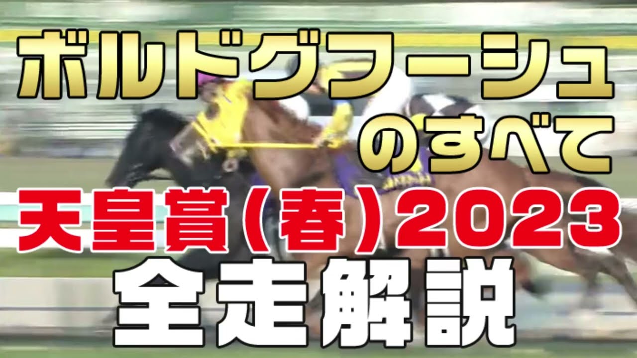 【ボルドグフーシュのすべて】（天皇賞春2023）新馬戦から前走までのレースぶりを振り返ってみました