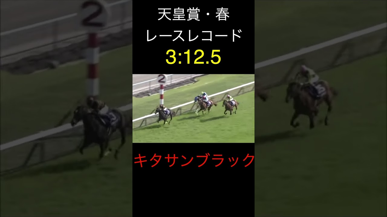 （切り抜き）参考レース 天皇賞（春）のレースレコード 　#shorts   #競馬 　＃レコード ＃参考レース　＃天皇賞　＃キタサンブラック　＃ウマ娘