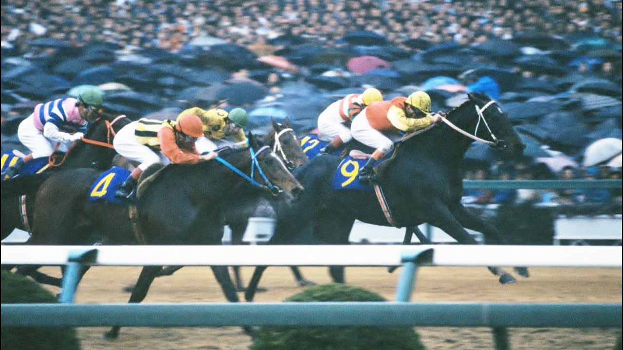 第２７回有馬記念　ヒカリデユール　牡５　56　河内洋　1982.12　出走馬：アンバーシャダイ、キョウエイプロミス、ビクトリアクラウン、ワカテンザン、メジロティターン、オペックホース、モンテプリンス他