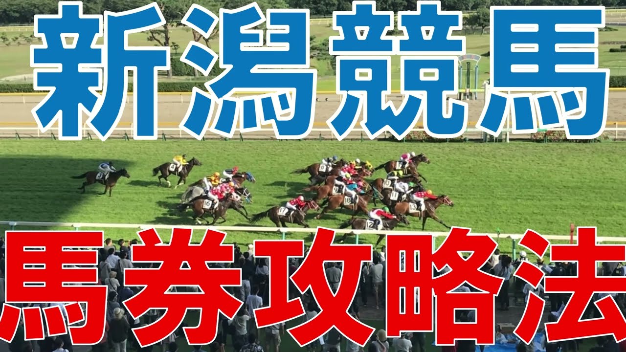 【競馬】新潟競馬場　攻略ポイント　馬場の特徴　徹底解説　初心者の方は特に必見 【たくぽん競馬塾】