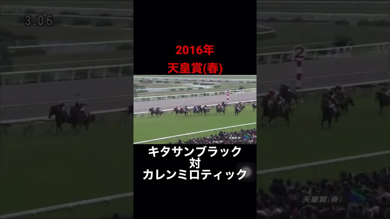 2016年天皇賞(春) #shorts #競馬 #天皇賞春 #キタサンブラック #カレンミロティック#競馬予想 #馬券 #g1