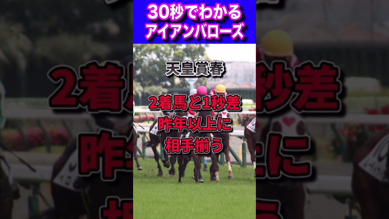 【天皇賞春2023】30秒でわかるアイアンバローズ