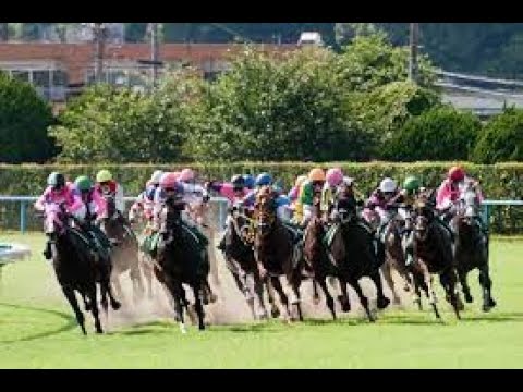 競馬 2023年4月23日 フローラＳ・ＧⅡ　▽新京都２年半ぶり開催マイラーズＣ・ＧⅡ