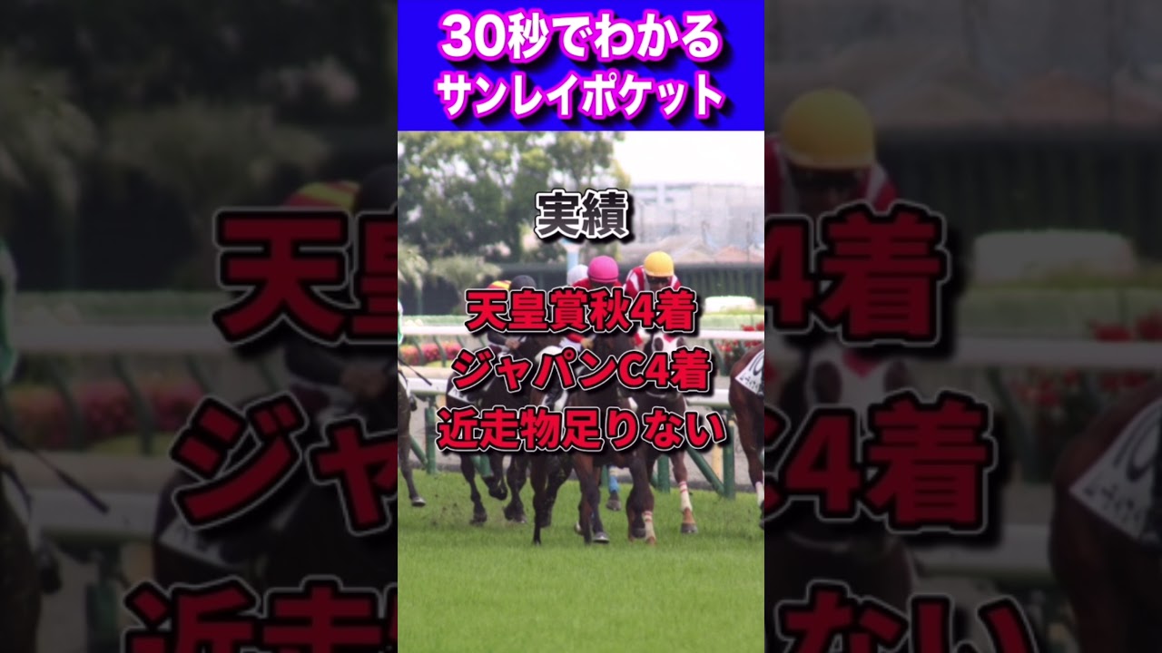 【天皇賞春2023】30秒でわかるサンレイポケット