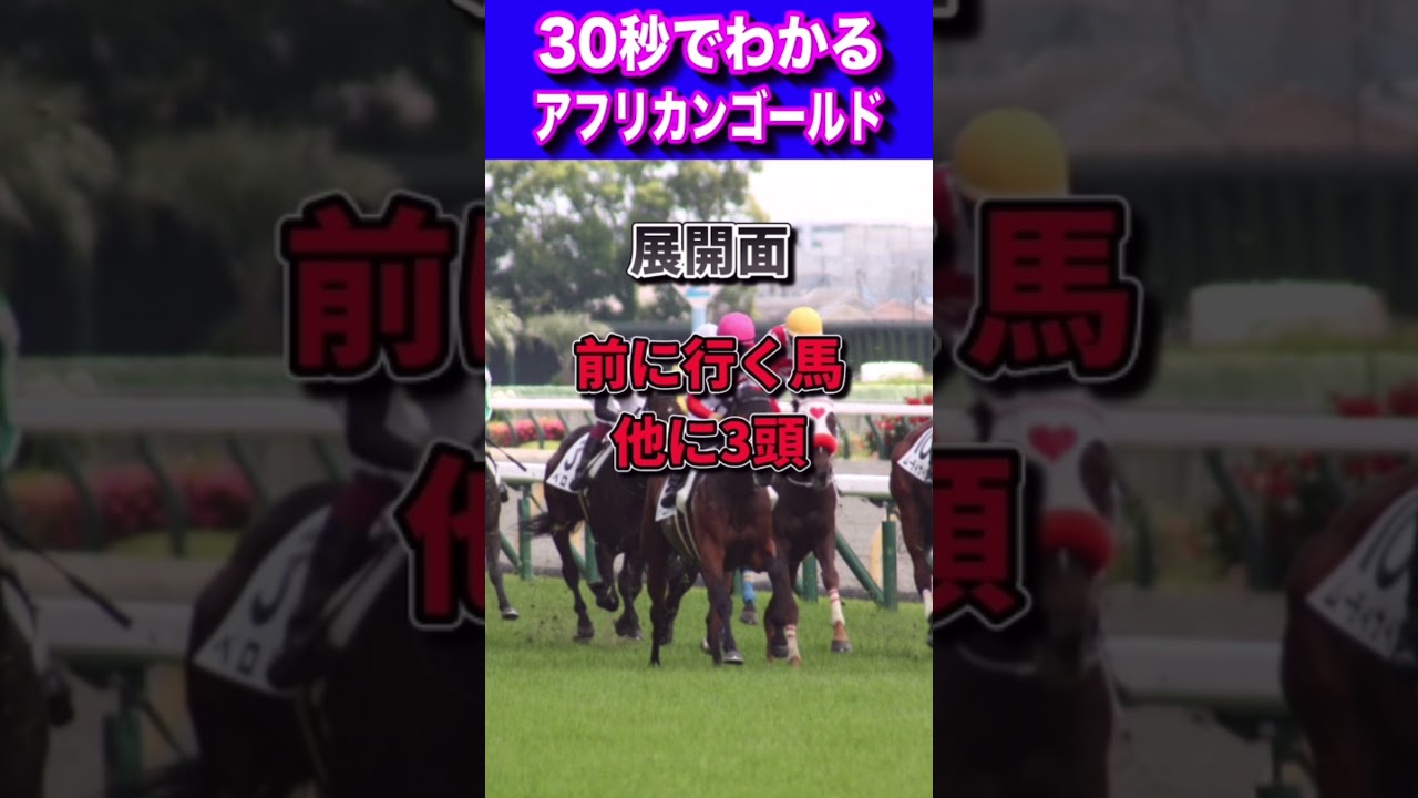 【天皇賞春2023】30秒でわかるアフリカンゴールド