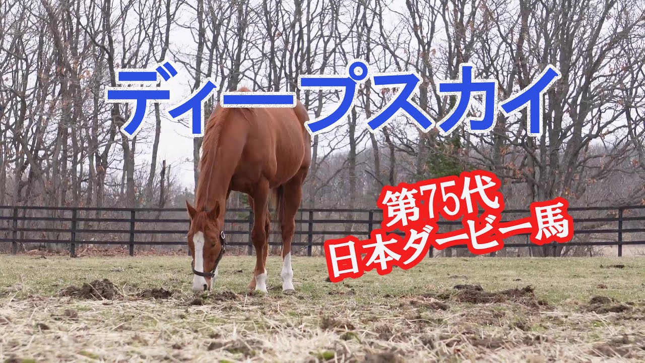 ディープスカイ Deep Sky～第75代日本ダービー馬