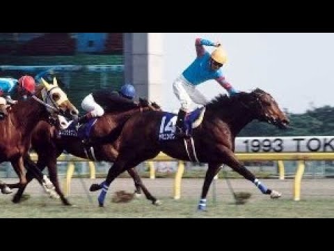 第４３回　安田記念（ＧⅠ）　ヤマニンゼファー　牡５　57　柴田善臣　1993.5.16　出走馬：イクノディクタス、シンコウラブリイ 、シスタートウショウ、キットウッド、カミノクレッセ、ニシノフラワー他