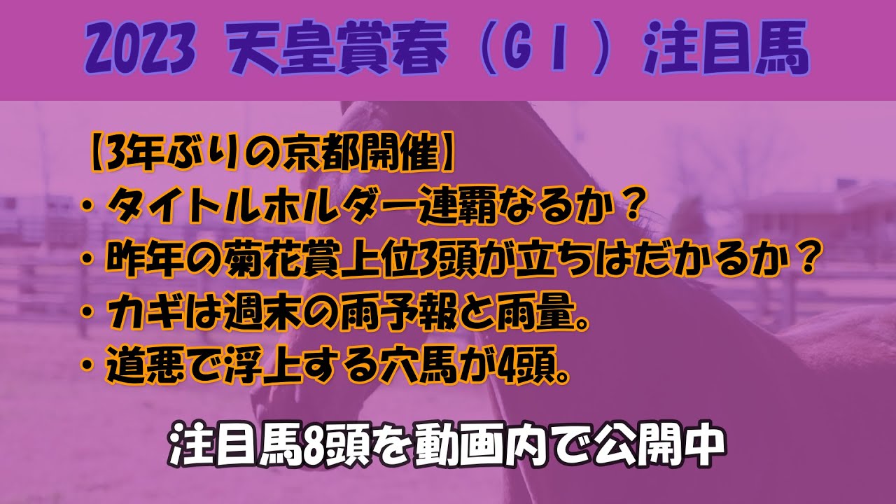 2023天皇賞春（GⅠ）注目馬　タイトルホルダー連覇なるか？それを阻むアスクビクターモア、ボルドグフーシュ、ジャスティンパレスの4歳勢。道悪想定で浮上する穴馬4頭を含め8頭を取り上げました。