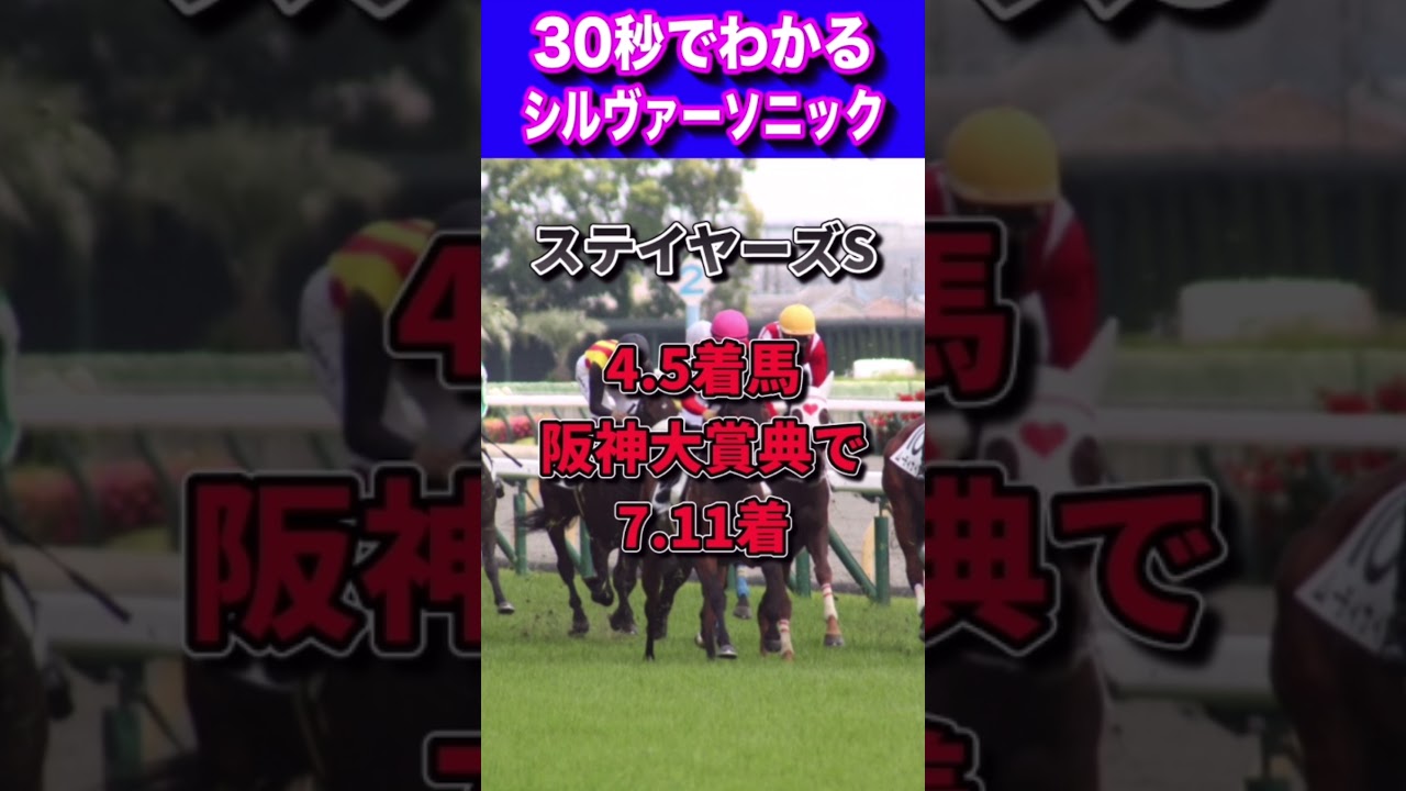 【天皇賞春2023】30秒でわかるシルヴァーソニック