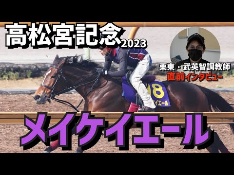 【高松宮記念2023】メイケイエールを管理する栗東・武英智調教師にインタビュー「最終追い切りは大満足でした」《東スポ競馬ニュース》