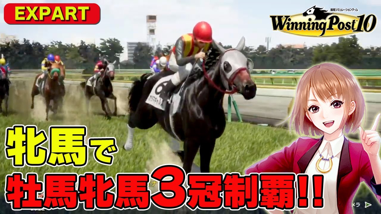 #8【ウイニングポスト10】牝馬で牡馬牝馬3冠制覇!!! 最高難易度 エキスパート 1979年～ 攻略 実況【ウイニングポスト10 / steam】