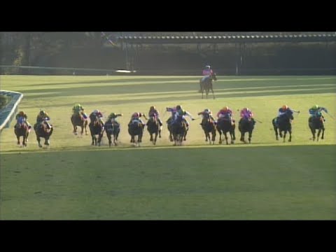 テイエムオペラオー　2000年有馬記念4コーナー内馬場アングル+正面アングル