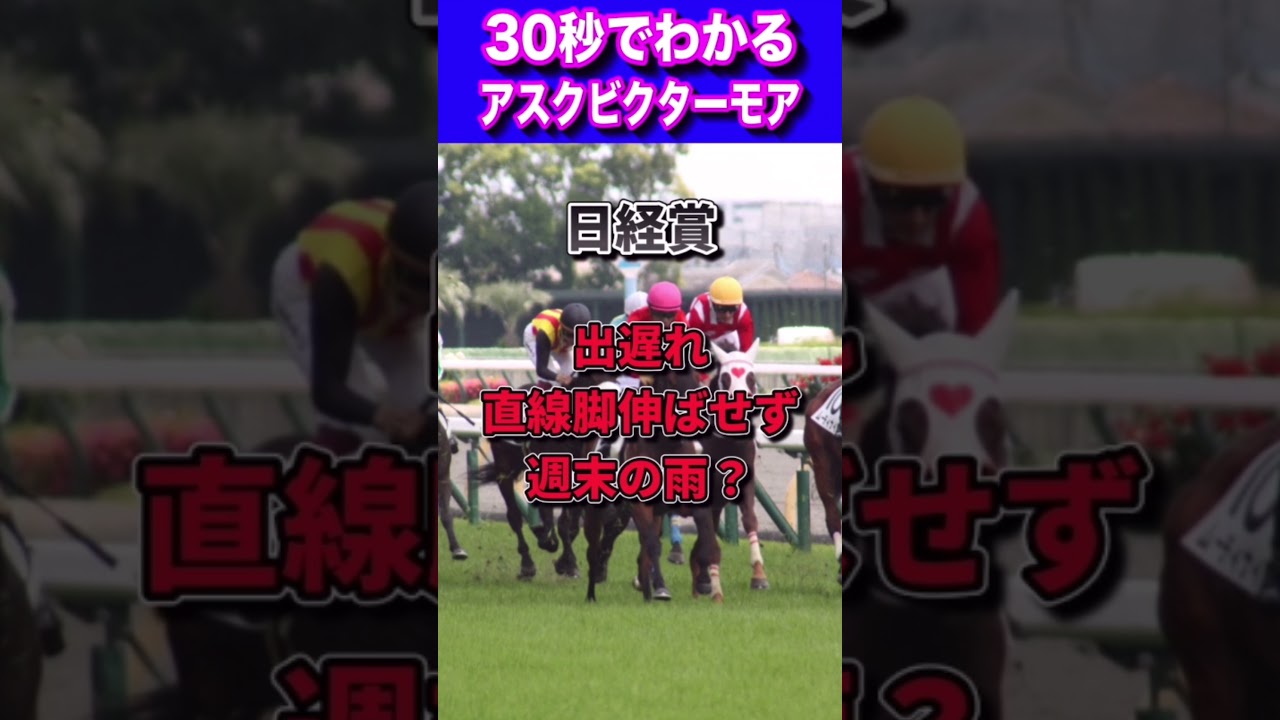 【天皇賞春2023】30秒でわかるアスクビクターモア