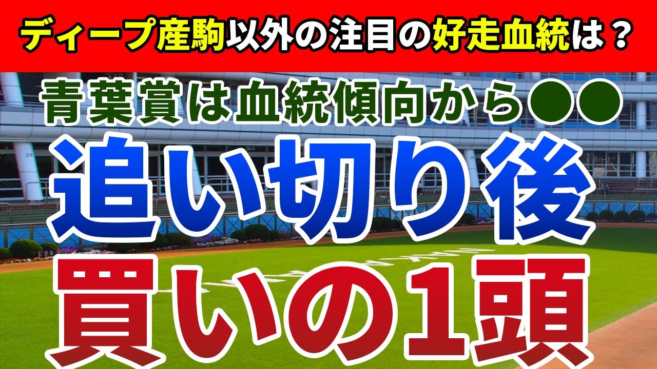 青葉賞2023 追い切り後【買いの1頭】公開！血統傾向から瞬発力より重要な要素を分析！激戦を制し、ダービーの切符を掴む一頭は？
