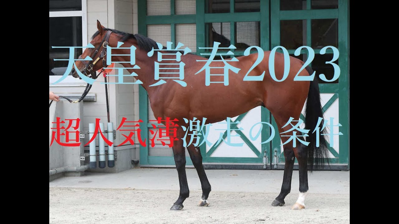 天皇賞春 2023 大波乱・穴馬激走のポイントは「激流」「道悪」「高齢馬」