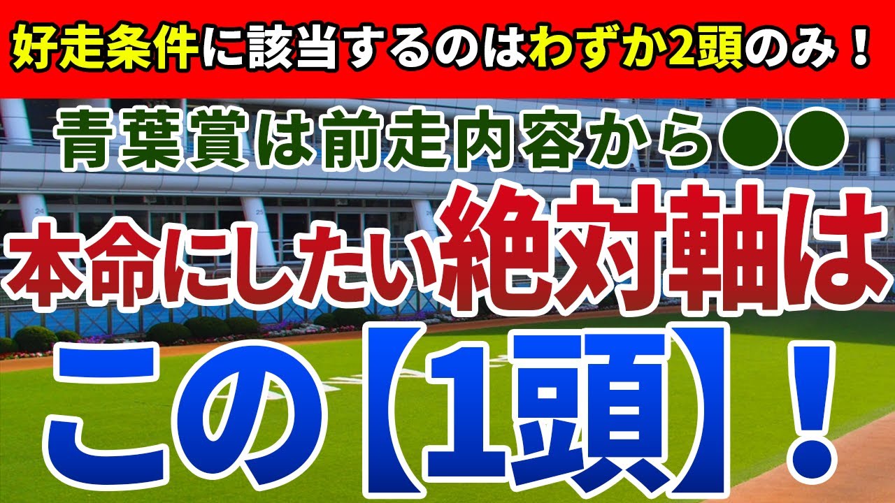 青葉賞2023【絶対軸1頭】公開！好走相性1勝クラス組の好走条件に注目！圧巻の走りでダービーへ向かう１頭は？