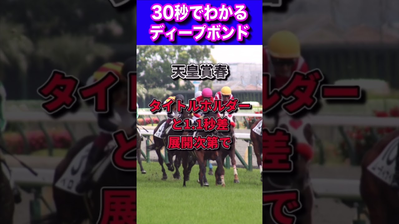 【天皇賞春2023】30秒でわかるディープボンド