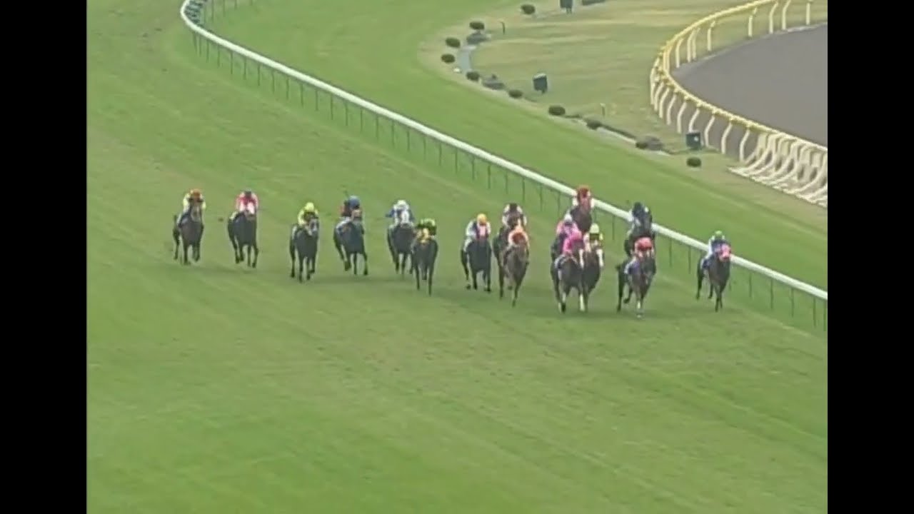 ナリタトップロード 2000年 第122回天皇賞(秋)(GI) (優勝馬：テイエムオペラオー) (実況：ラジオたんぱ)