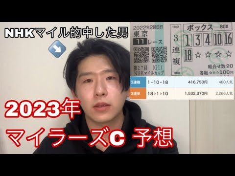 2023年マイラーズC予想してみた