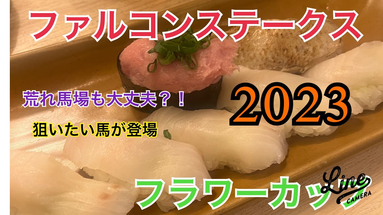 【ファルコンステークスとフラワーカップ】の穴馬予想　#13