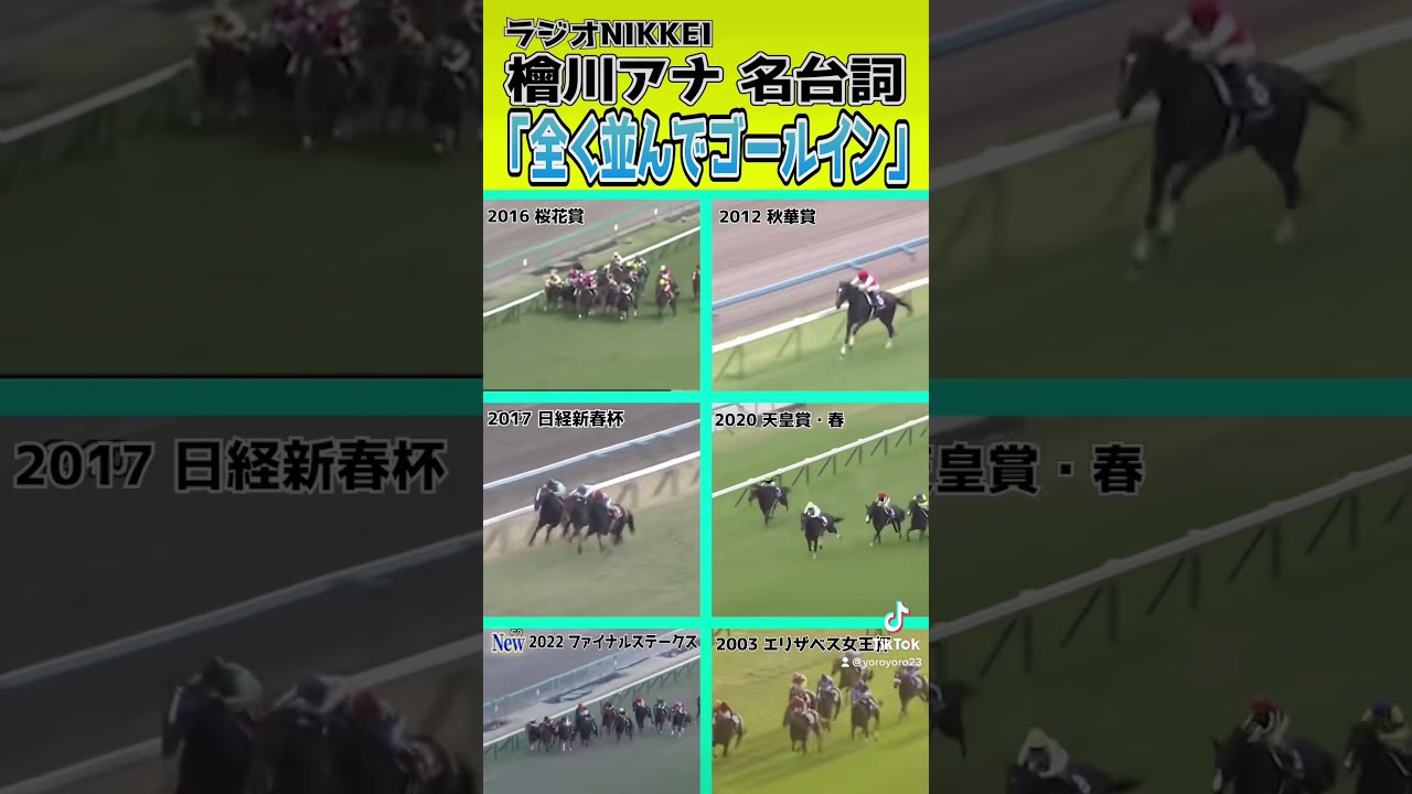 『全く並んでゴールイン』全く並べてみた/ラジオNIKKEI 競馬実況 檜川アナウンサー