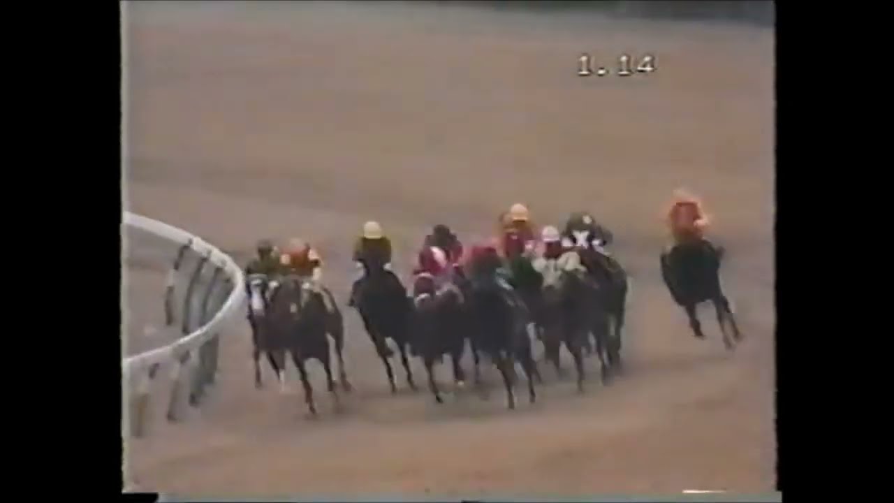 第３７回　朝日杯３歳ステークス （ＧⅠ）　スクラムダイナ　牡２　54　柴田政人　1984.12.16　　出走馬： ビンゴチムール、サクラサニーオー 、ロードキルター、トウショウサミット 他
