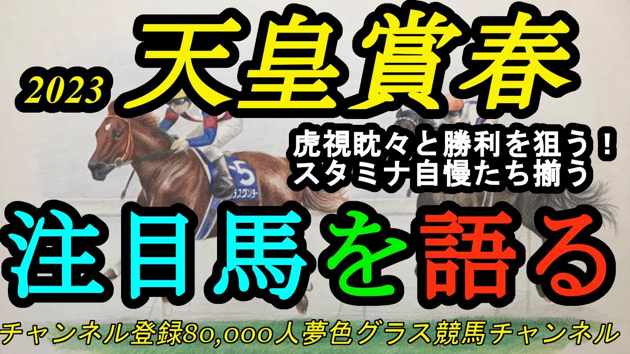 【注目馬を語る】2023天皇賞春！虎視眈々と長距離G1制覇を狙う4頭！じっくり力をつけてきた！