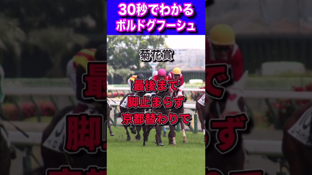 【天皇賞春2023】30秒でわかるボルドグフーシュ