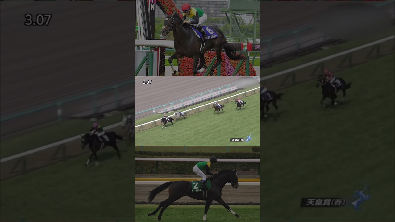 新京都競馬場でもタイトル獲得なるか！？タイトルホルダー天皇賞春