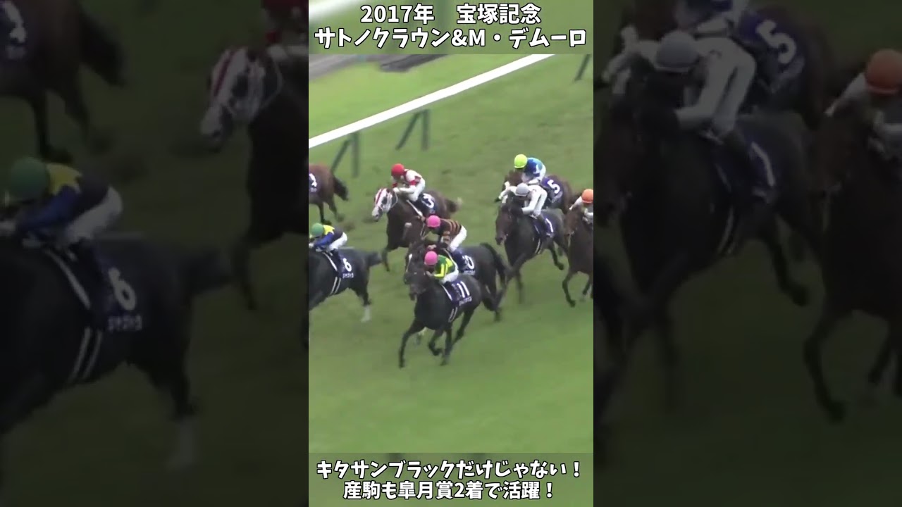 【競馬】shortで見る名馬のレース『サトノクラウン』キタサンブラックだけじゃない！産駒もG1で活躍！【宝塚記念】 #short