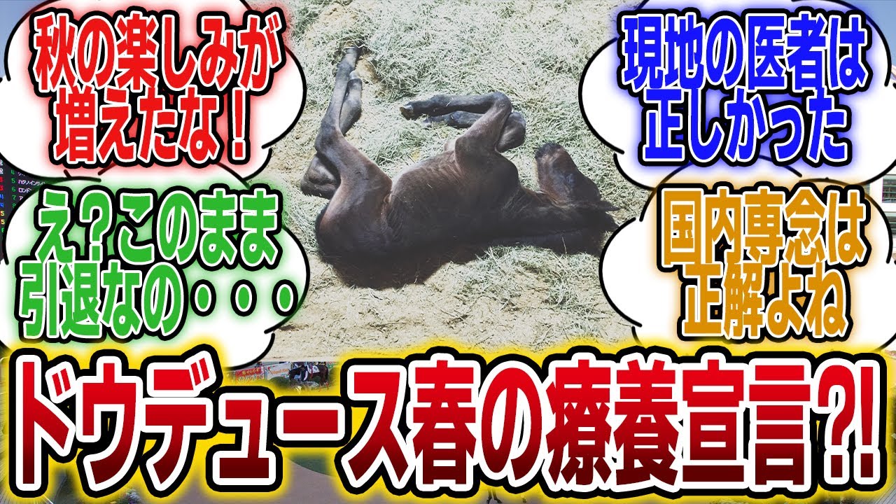 「ドウデュース宝塚記念を回避！春は全休！」に対するみんなの反応【競馬の反応集】