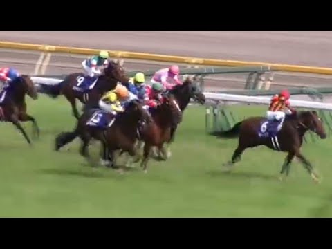 安田記念　1着モーリス号（川田将雅騎手）&ファンファーレ（個人撮影）《ノイズあり映像》2015年6月7日（日）東京競馬場