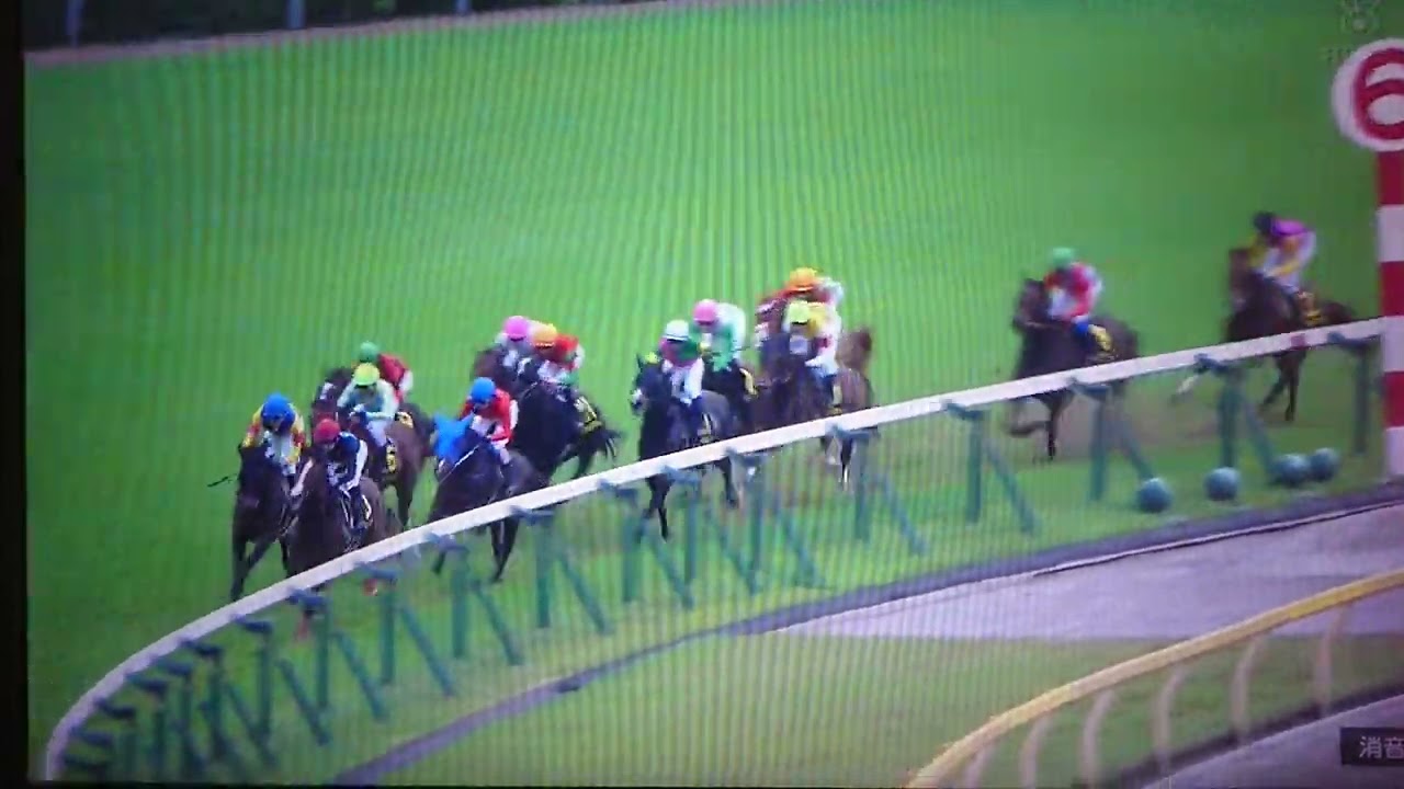 2023/4/30 東京11R スイートピーS(L・3牝)【優駿牝馬(オークス)TR】