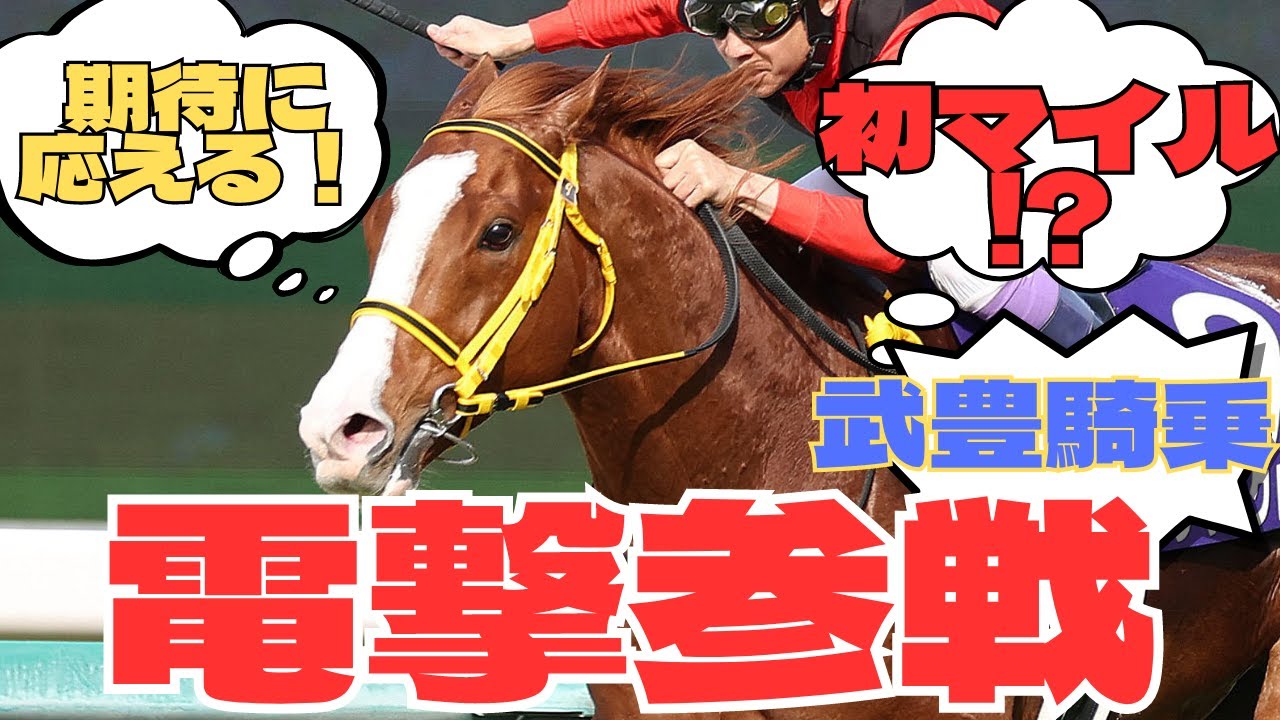 【競馬の反応集】「ジャックドール武豊で安田記念参戦！！」に対する競馬ファンの反応集