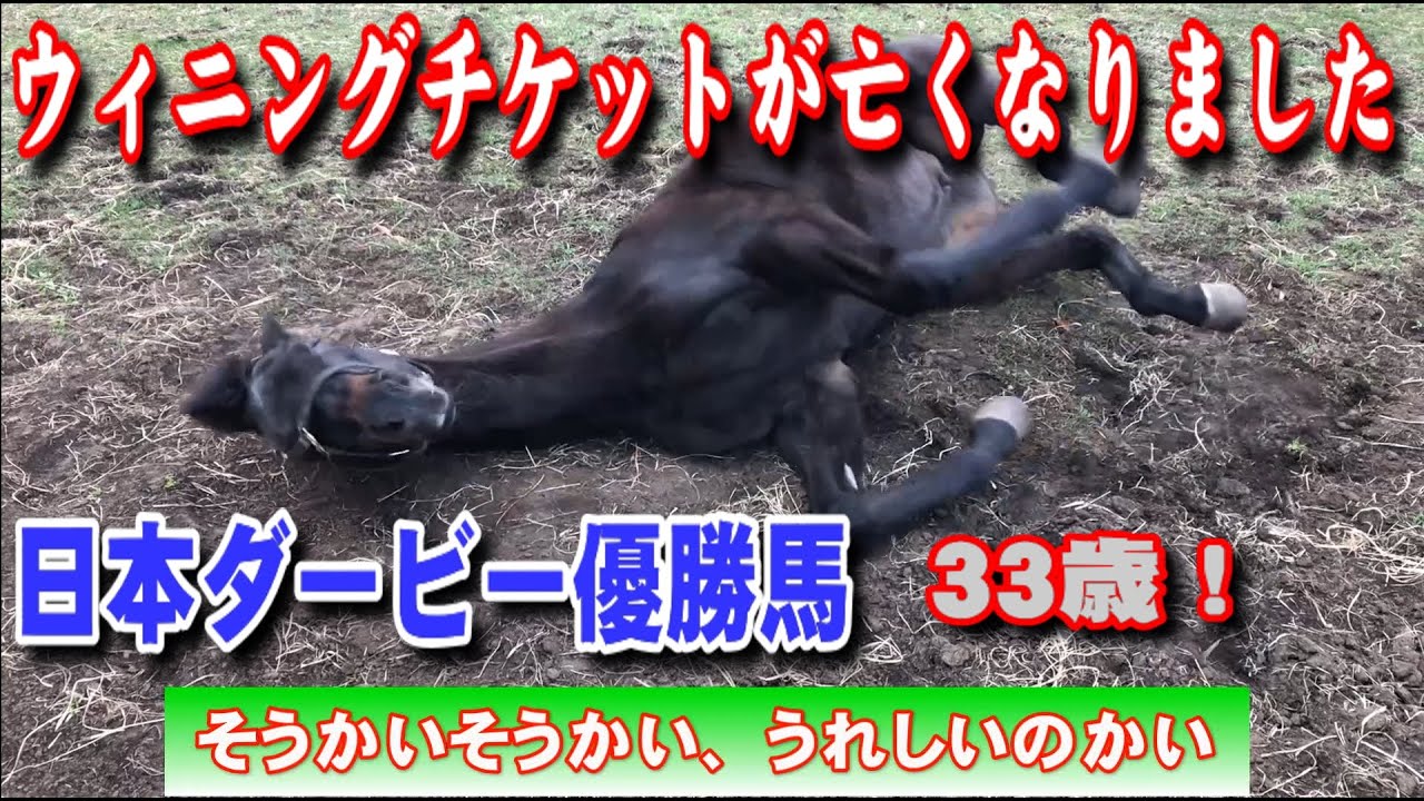 日本ダービー優勝馬 ウィニングチケット死去！