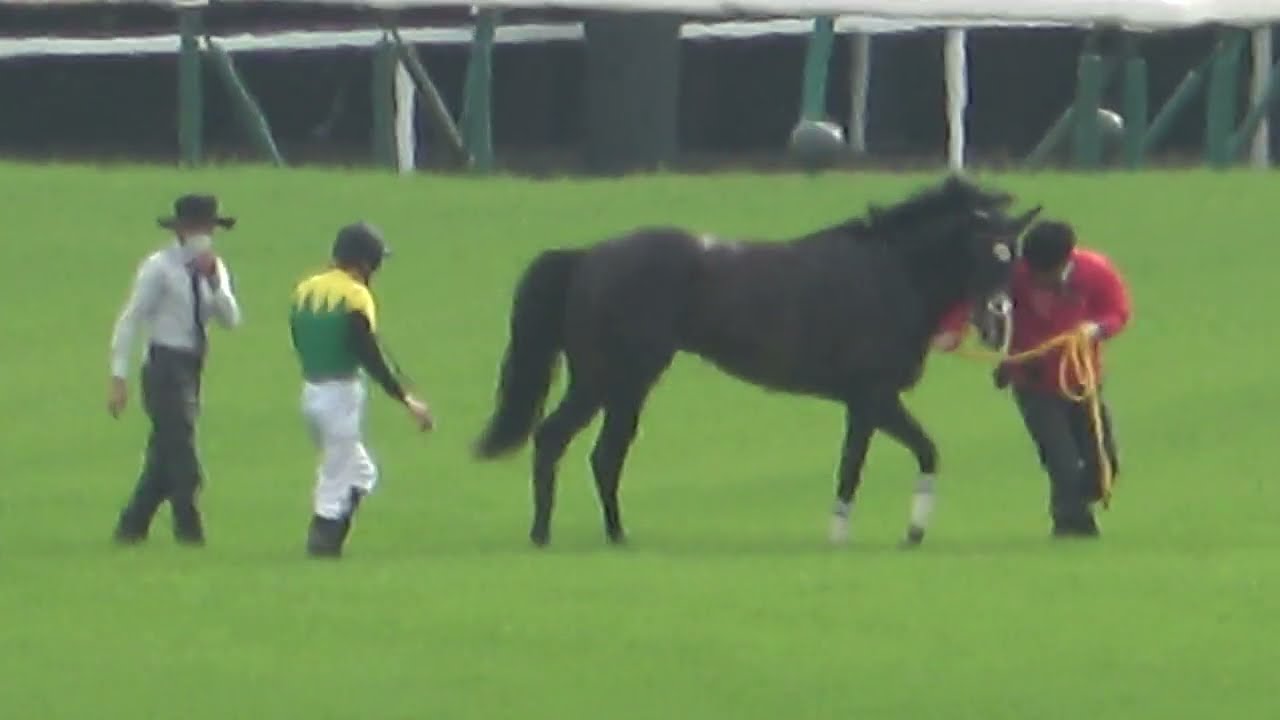【天皇賞(春)2023】タイトルホルダー 最後のコーナー辺りで横山和生騎手が下馬 現地映像