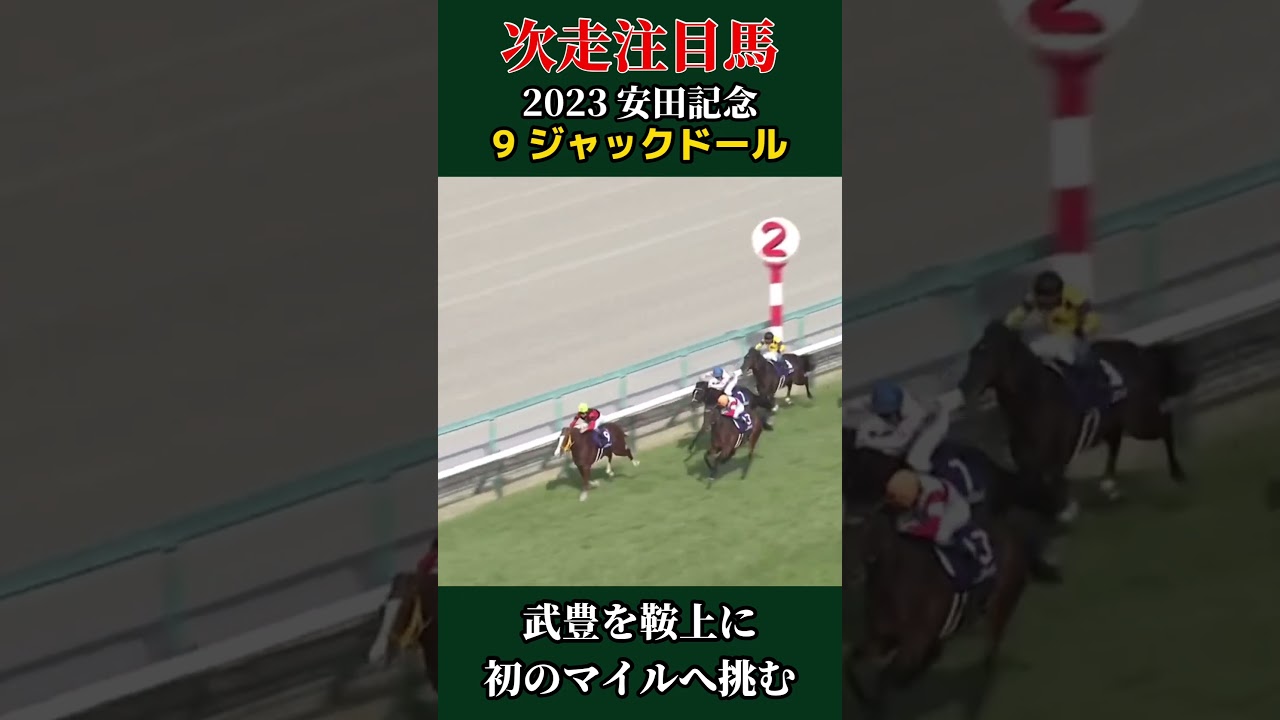 【might be a HERO 次走注目馬】2023安田記念 #競馬 #競馬予想 #g1 #武豊 #ジャックドール