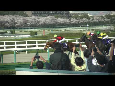 大阪杯(GⅠ) 現地 レース ジャックドール 武豊騎手は最年長54歳でG一制覇 2023/4/2 阪神競馬場 11R