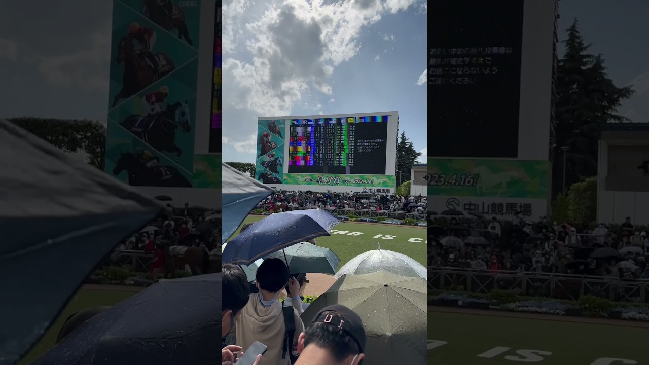 マッドクール復活‼️